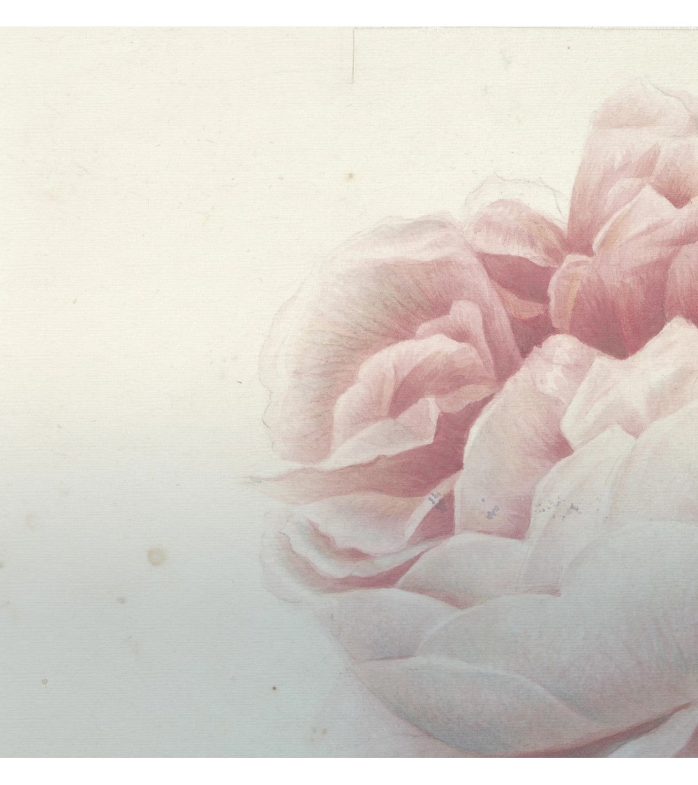 Papier peint “Romantic Flower” – TONIN CASA | BHOME by Arredi Barbàra