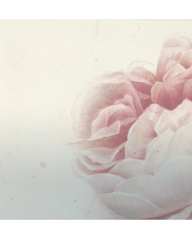 Papier peint “Romantic Flower” – TONIN CASA | BHOME by Arredi Barbàra