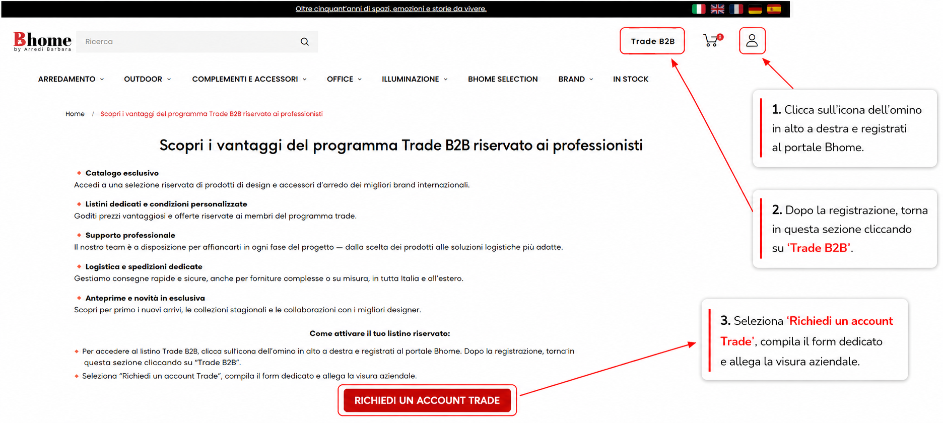 Guida%20grafica%20trade%20B2B.png